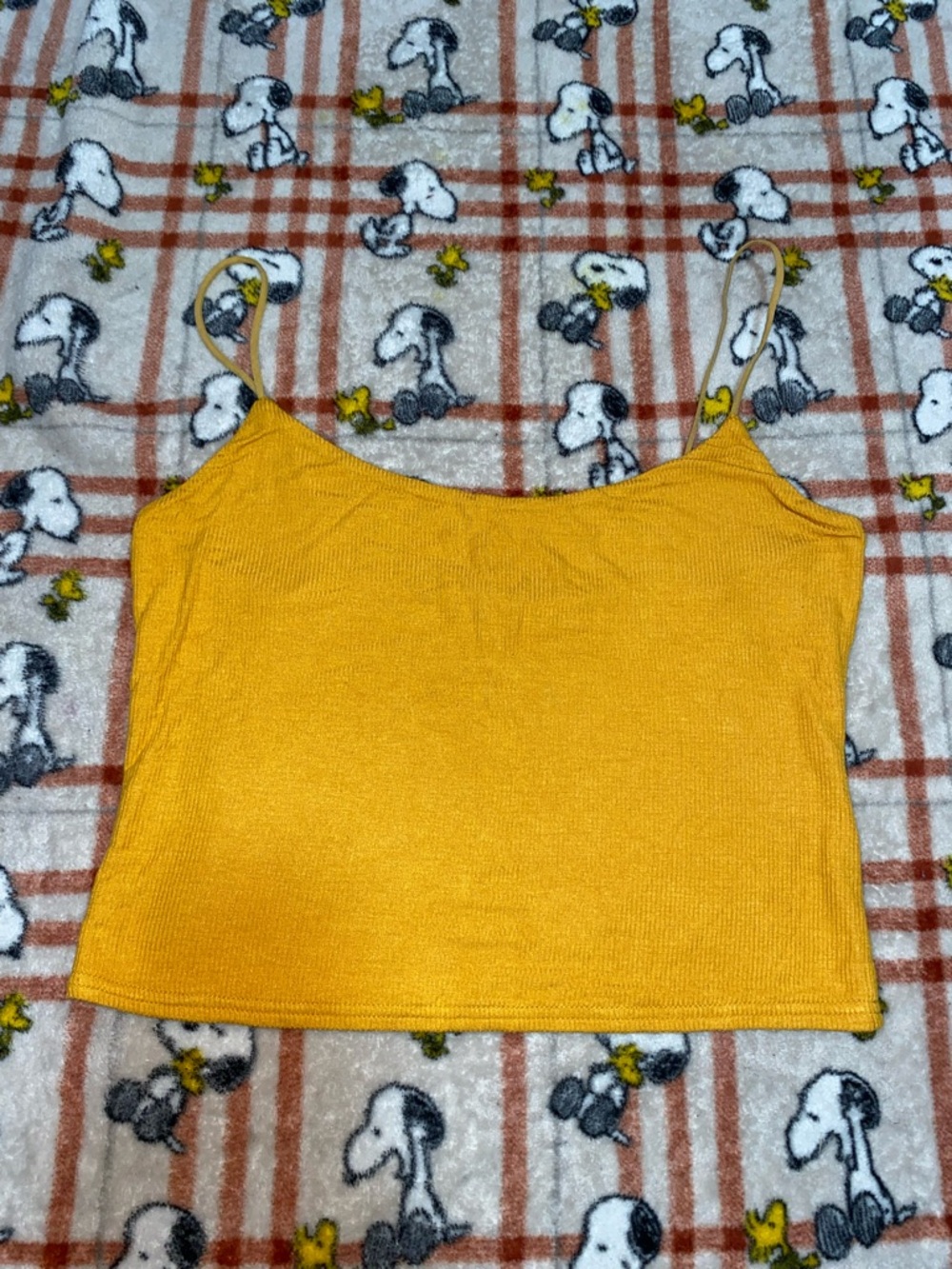 Women's Pacsun Yellow Ribbed Spaghetti Strap Crop Top